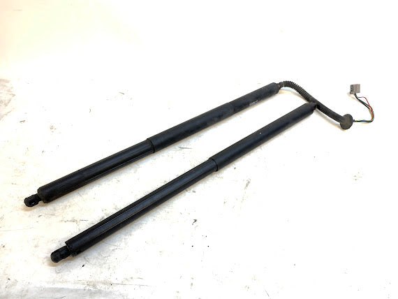 Tesla Model S Rear Trunk/Hatch Shocks 6006610-00-B