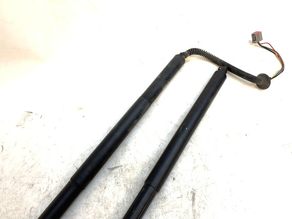 Tesla Model S Rear Trunk/Hatch Shocks 6006610-00-B