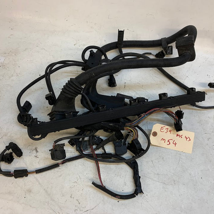 BMW E39 530i 525i M54 MS43 Engine Wiring Harness 12517513551