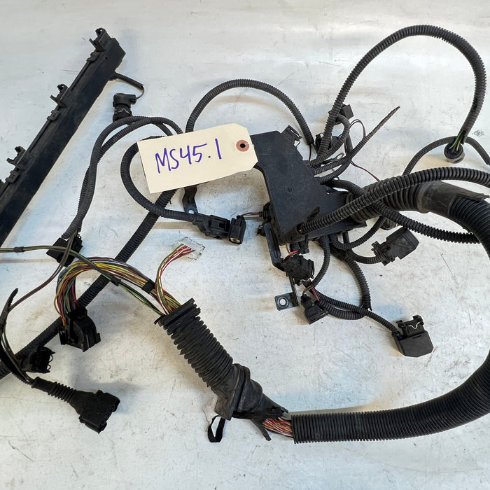 BMW E46 M54 ENGINE WIRING HARNESS MS45.1 12517523220