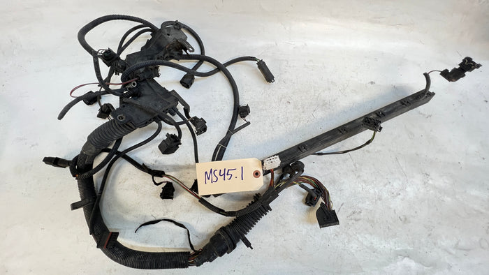 BMW E46 M54 ENGINE WIRING HARNESS MS45.1 12517523220