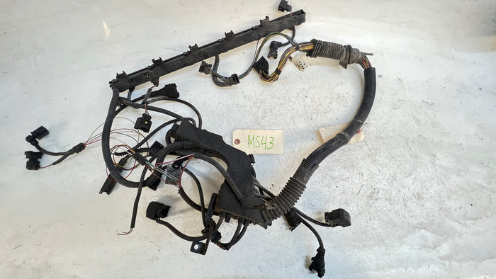 BMW E46 M54 ENGINE WIRING HARNESS MS43 (MISSING EGR PURGE VALVE CONNECTOR ) 12517513554