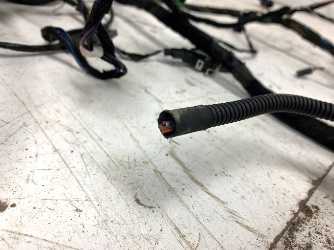 2019 Alfa Romeo 952 Giulia Ti Main Body Wiring Harness 50550599 *DAMAGED*