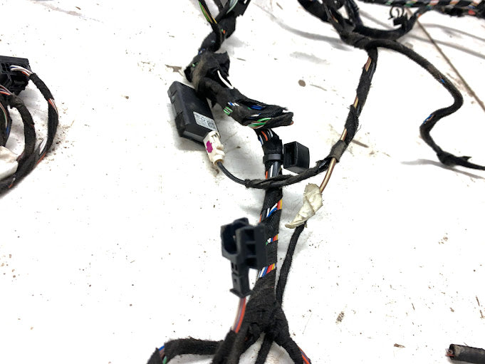 2019 Alfa Romeo 952 Giulia Ti Main Body Wiring Harness 50550599 *DAMAGED*