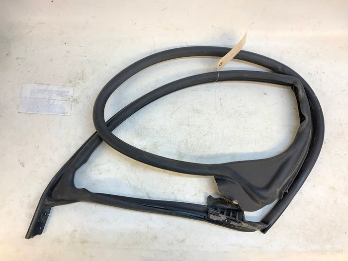 Tesla Model S Right/Passenger Side Front Door Seal