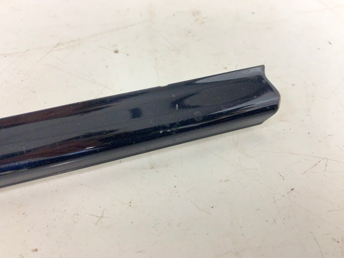 BMW E46 Door Molding Trim Blue Left 8208669