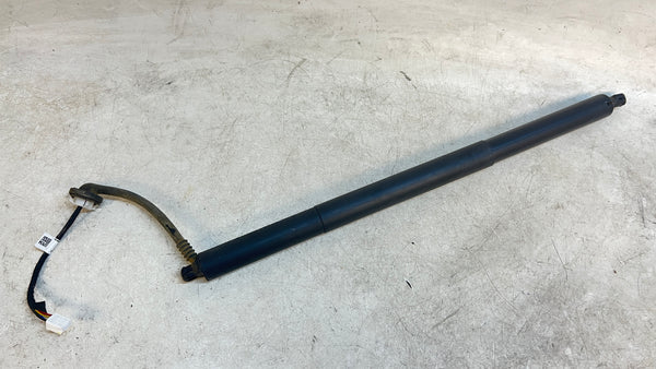 Tesla Model Y Trunk/Hatch/Liftgate Left Strut 1500601-00-B