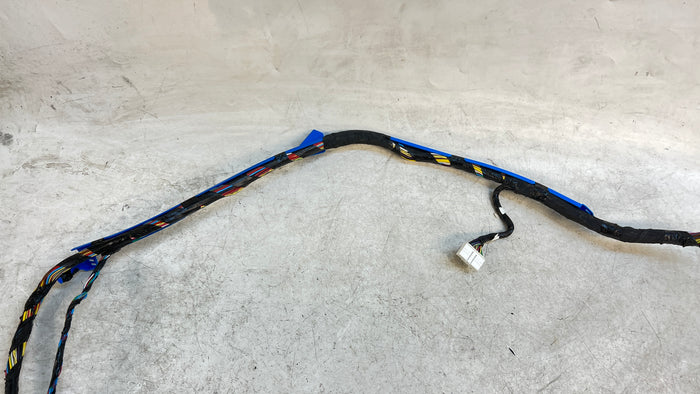 Tesla Model Y Left Body Wiring Harness 2489041-00-A *DAMAGED*