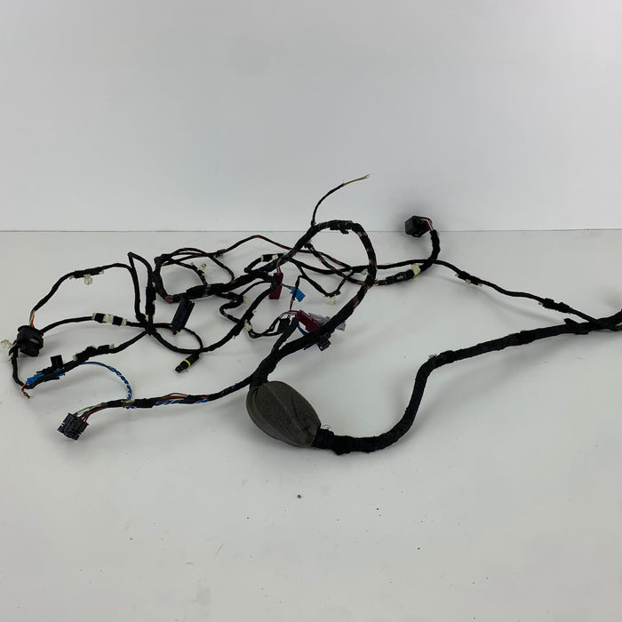 BMW F97 X3 M/F98 X4 M Right/Passenger Side Front Door Wiring Harness 8792852 *DAMAGED*