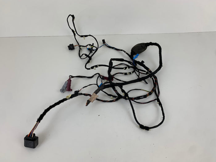 BMW F97 X3 M/F98 X4 M Right/Passenger Side Front Door Wiring Harness 8792852 *DAMAGED*