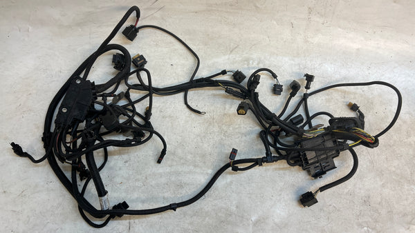 BMW F10 N55 ENGINE WIRING HARNESS SENSORIC MODULE 1 & 2 12518605138 / 12517631759