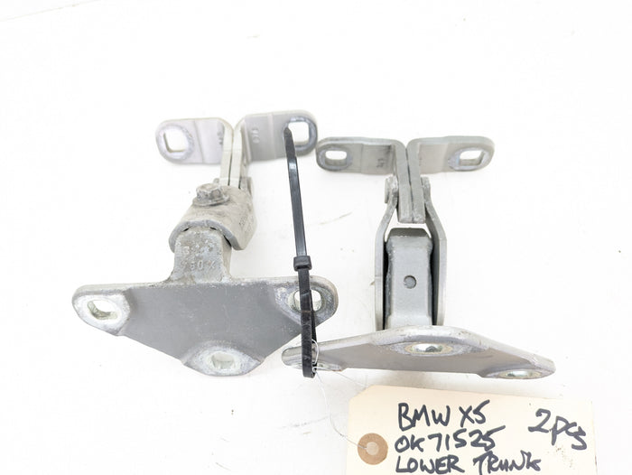 BMW F15 X5 35iX Left/Right Lower Hatch/Tailgate Hinge Set Mineral Silver Metallic (A14) 7352697/41007378126