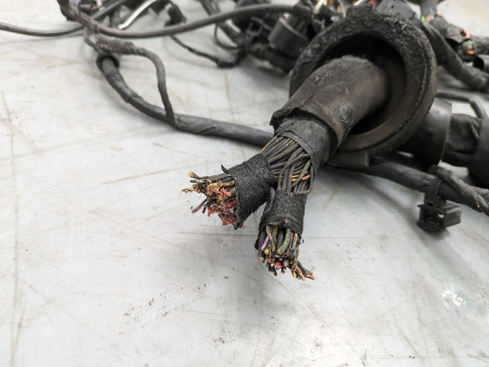 Porsche 991.2 911 GTS Front Left Chassis Wiring Harness Cut 99161020800 *NOTE*