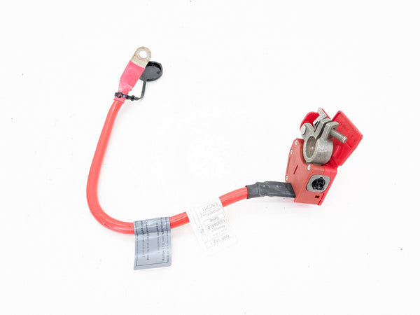 BMW F32 F30 F31 F33 F34 F36 4 & 3 Series Positive Battery Terminal/Positive Battery Cable 9259425
