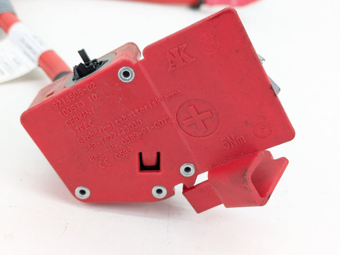 BMW F32 F30 F31 F33 F34 F36 4 & 3 Series Positive Battery Terminal/Positive Battery Cable 9259425