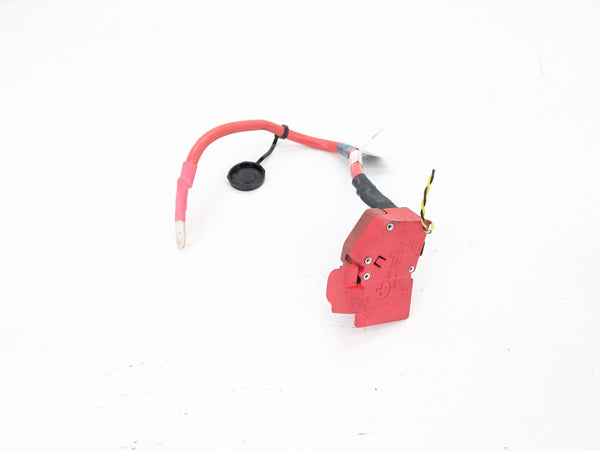 BMW F32 F30 F31 F33 F34 F36 4 & 3 Series Positive Battery Terminal/Positive Battery Cable 9214506