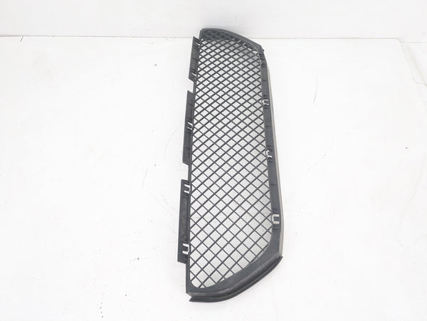 BMW E46 M3 Front Bumper Lower Center Grille 2694724