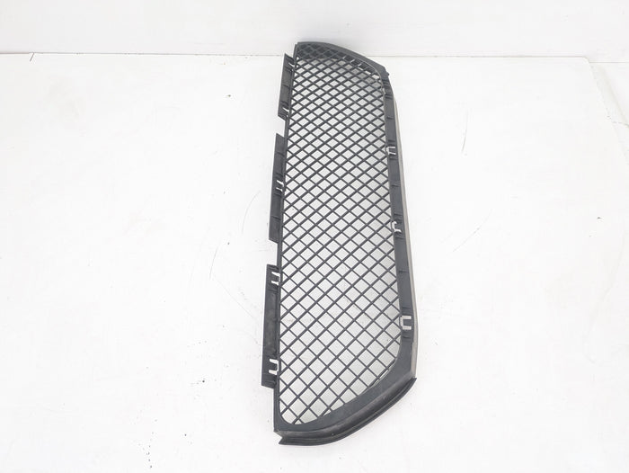 BMW E46 M3 Front Bumper Lower Center Grille 2694724