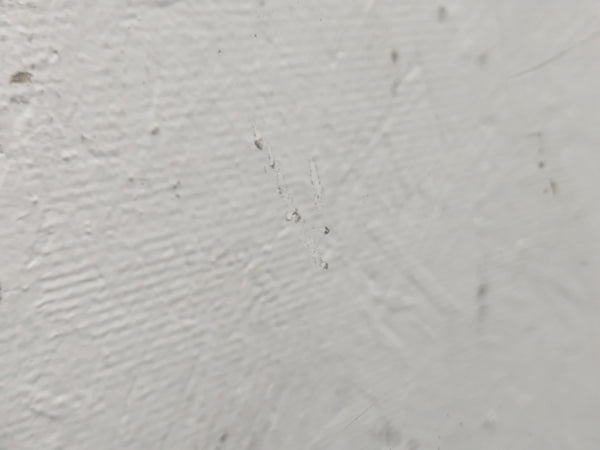 BMW E46 M3 330ci 328ci 325ci 323ci Coupe Right/Passenger Side Front Door Window Glass *DAMAGED*