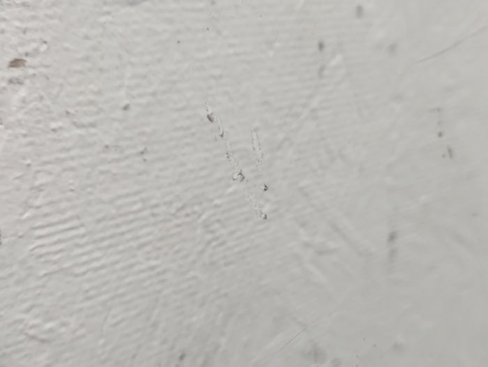 BMW E46 M3 330ci 328ci 325ci 323ci Coupe Right/Passenger Side Front Door Window Glass *DAMAGED*