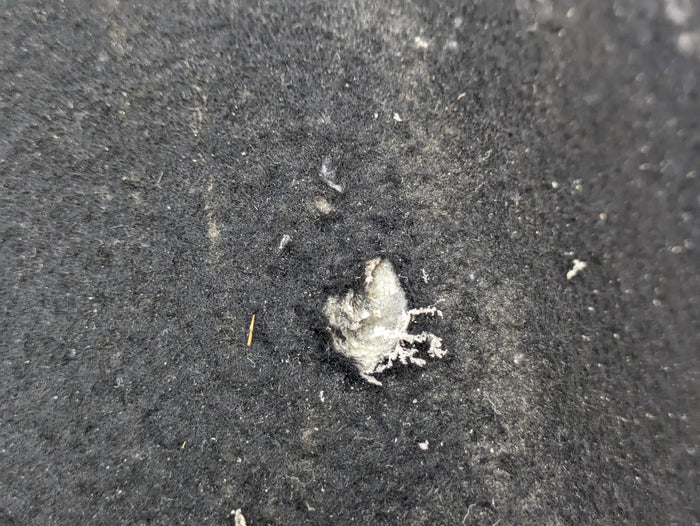 BMW E46 M3 330ci 325ci 323ci Convertible Trunk Compartment Floor Carpet 8236311