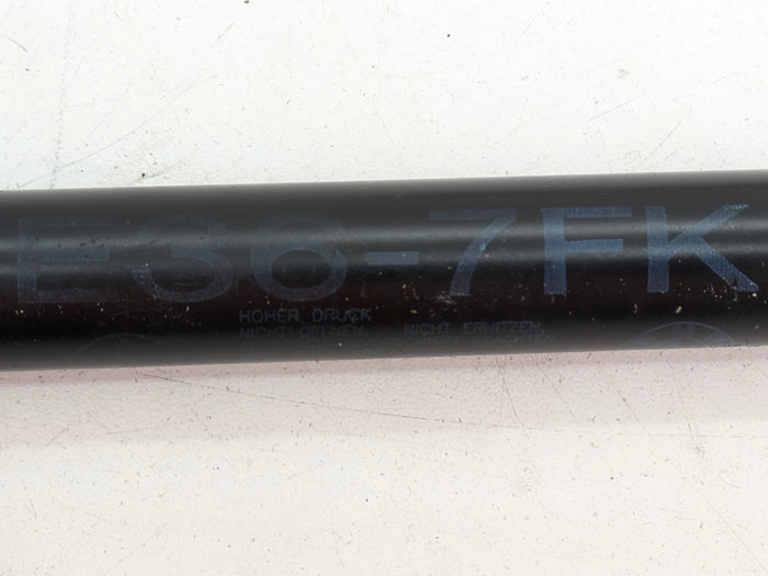 BMW Z3 M Roadster/M Coupe Left/Right Hood Hinges 41618398665/41618398666/51238397401