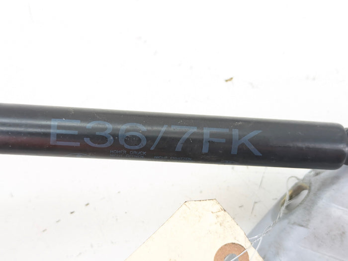 BMW Z3 M Roadster/M Coupe Left & Right Hood Hinges Set Titan Silver (354) 41618398665/41618398666