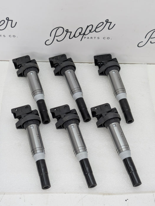 BMW E82 E88 135i N55 Engine Delphi Ignition Coil Packs Set Of 6 GN10571