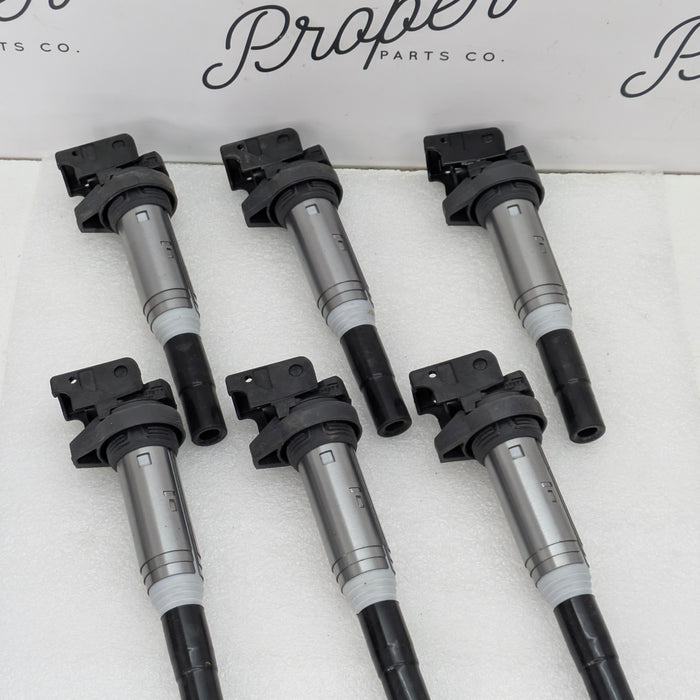 BMW E82 E88 135i N55 Engine Delphi Ignition Coil Packs Set Of 6 GN10571