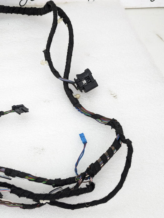 BMW F22 F23 228xi M235xi 230xi M240xi Right/Passenger Side Door Wiring Harness 9340993