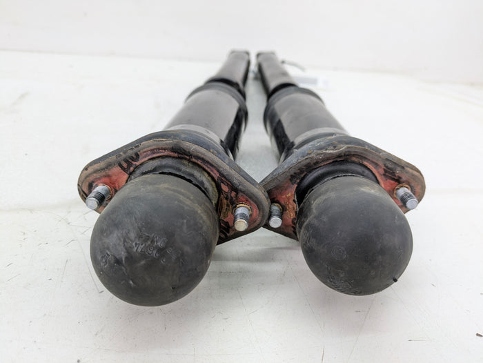 BMW Z3 M Roadster S52 Left/Right Rear Shock Absorber Set 2228358