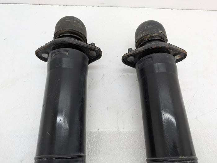 BMW Z3 M Roadster S52 Left/Right Rear Shock Absorber Set 2228358