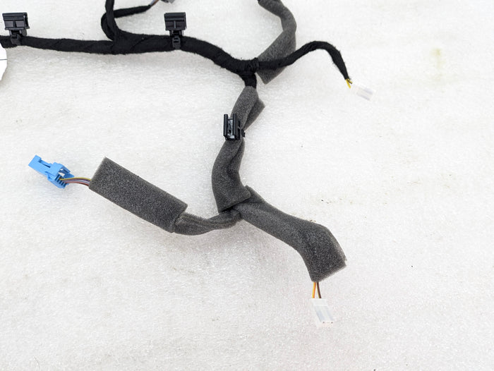 Volvo V60 T6 R-Design Front Left Or Right Door Wiring Harness & Door Courtesy Light 31663793/322860425
