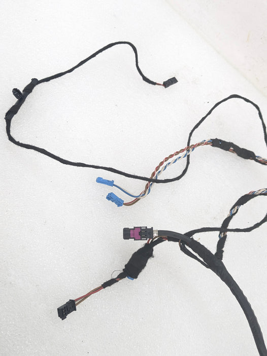 BMW E70 X5 M/E71 X6 M Right/Passenger Side Front Door Wiring Harness & Light 7184660