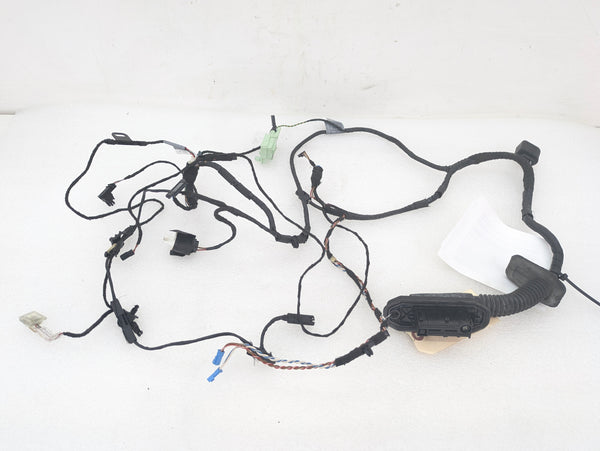 BMW E70 X5 M/E71 X6 M Right/Passenger Side Front Door Wiring Harness & Light 7184660