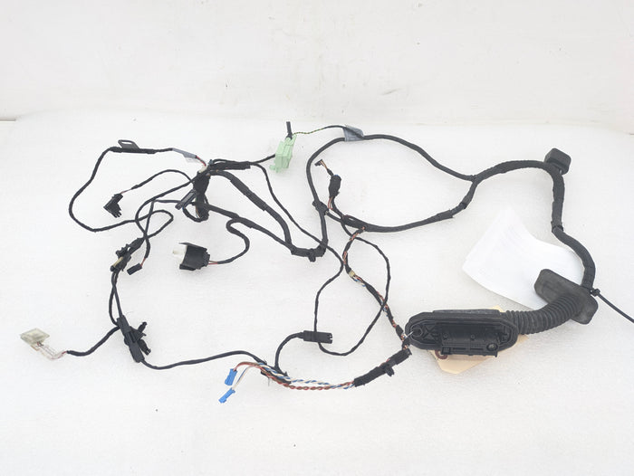 BMW E70 X5 M/E71 X6 M Right/Passenger Side Front Door Wiring Harness & Light 7184660