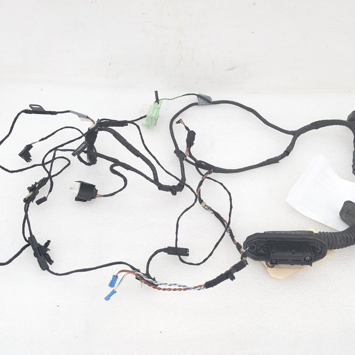 BMW E70 X5 M/E71 X6 M Right/Passenger Side Front Door Wiring Harness & Light 7184660