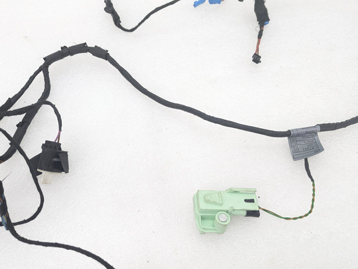 BMW E70 X5 M/E71 X6 M Right/Passenger Side Front Door Wiring Harness & Light 7184660