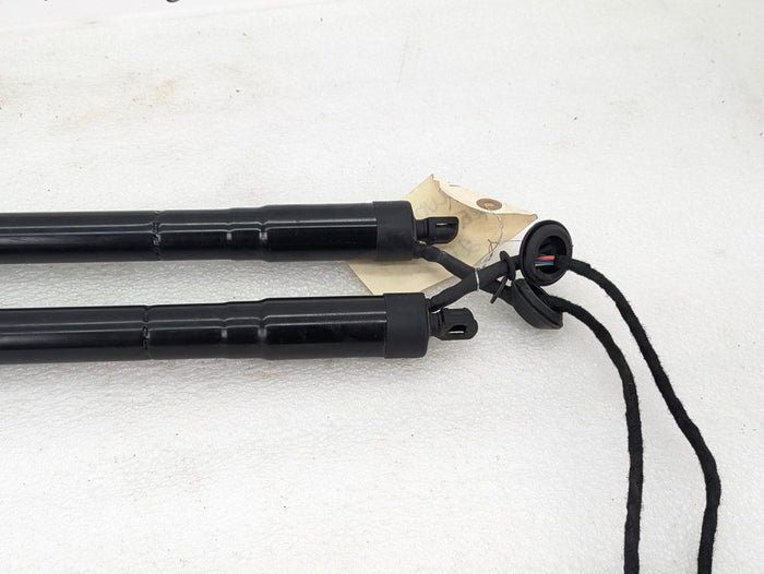 2021 Volvo V60 T6 R-Design Rear Hatch Tailgate Electric Power Lift Support Strut Set 32384406