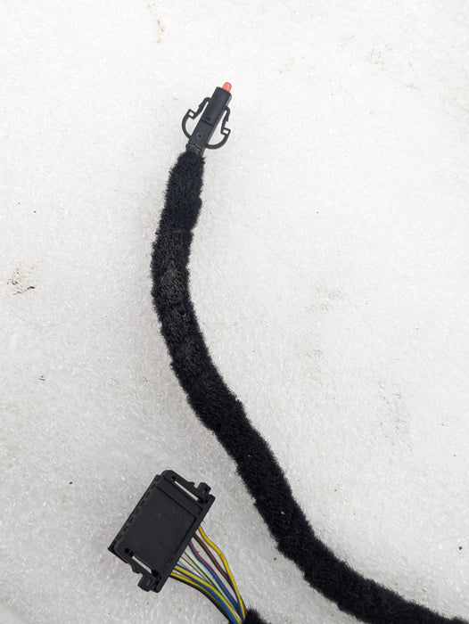 BMW E60 E61 M5 Front Left Driver Door Wiring Harness 6982355