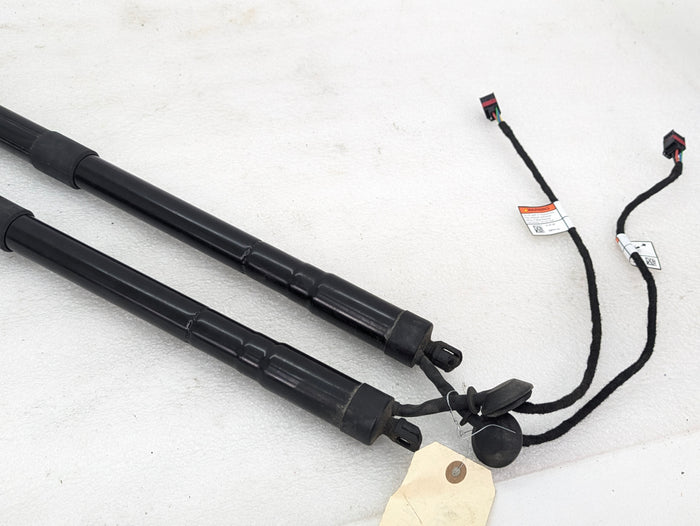 2021 Volvo V60 T6 R-Design Rear Hatch Tailgate Electric Power Lift Support Strut Set 32384406