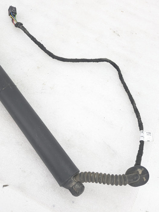 AUDI 8U Q3 L/R Electric Tailgate (Trunk) Lift strut 8U0827851