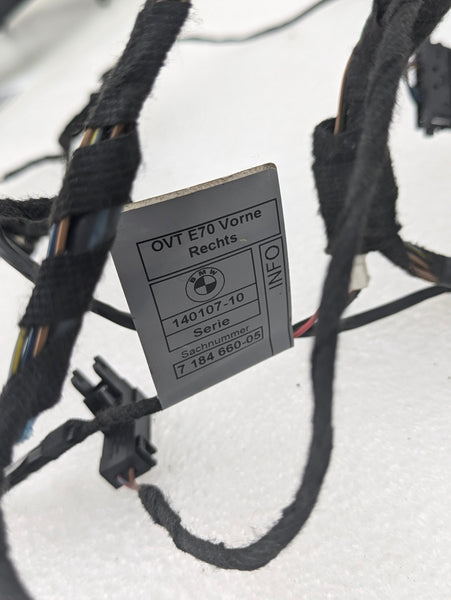 BMW E70 X5 M/E71 X6 M Right/Passenger Side Front Door Wiring Harness & Light 7184660