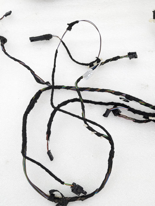 BMW F22 F23 228xi M235xi 230xi M240xi Right/Passenger Side Door Wiring Harness 9340993