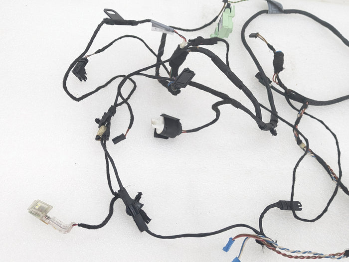 BMW E70 X5 M/E71 X6 M Right/Passenger Side Front Door Wiring Harness & Light 7184660