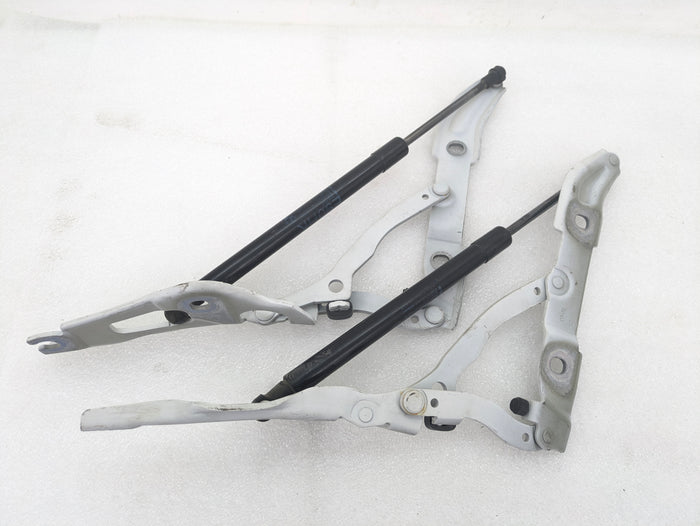 BMW E90 3 Series Left Right Trunk Lid Hinge Set & Struts 7060627/7060628/7250308
