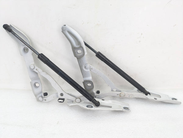BMW E90 3 Series Left Right Trunk Lid Hinge Set & Struts 7060627/7060628/7250308