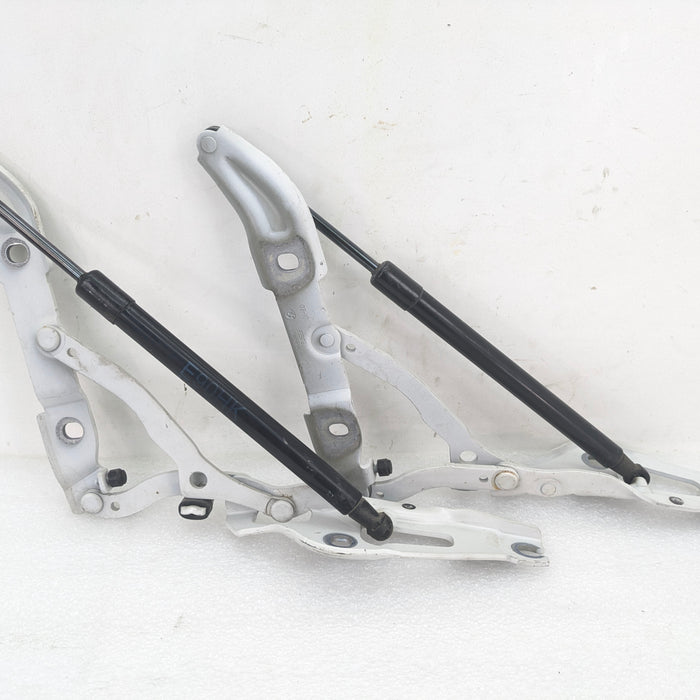 BMW E90 3 Series Left Right Trunk Lid Hinge Set & Struts 7060627/7060628/7250308