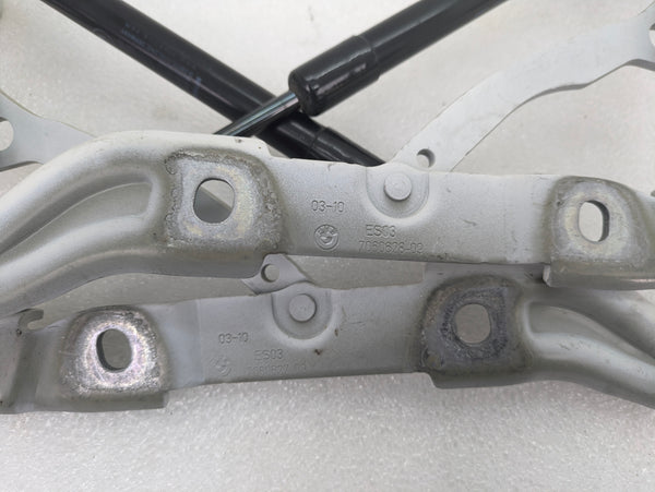 BMW E90 3 Series Left Right Trunk Lid Hinge Set & Struts 7060627/7060628/7250308