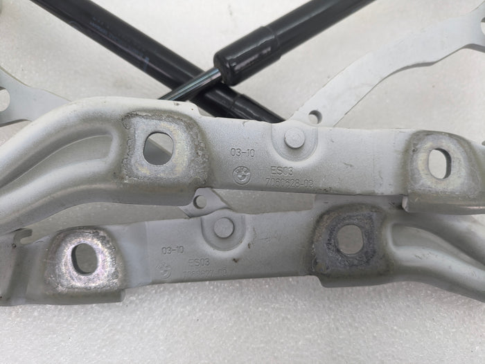 BMW E90 3 Series Left Right Trunk Lid Hinge Set & Struts 7060627/7060628/7250308